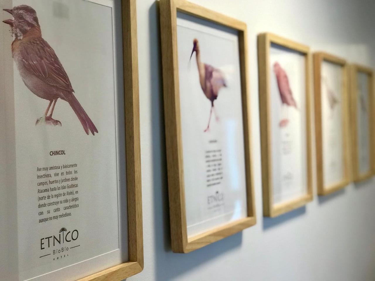 Etnico Bio Bio Hotel ロサンゼルス エクステリア 写真
